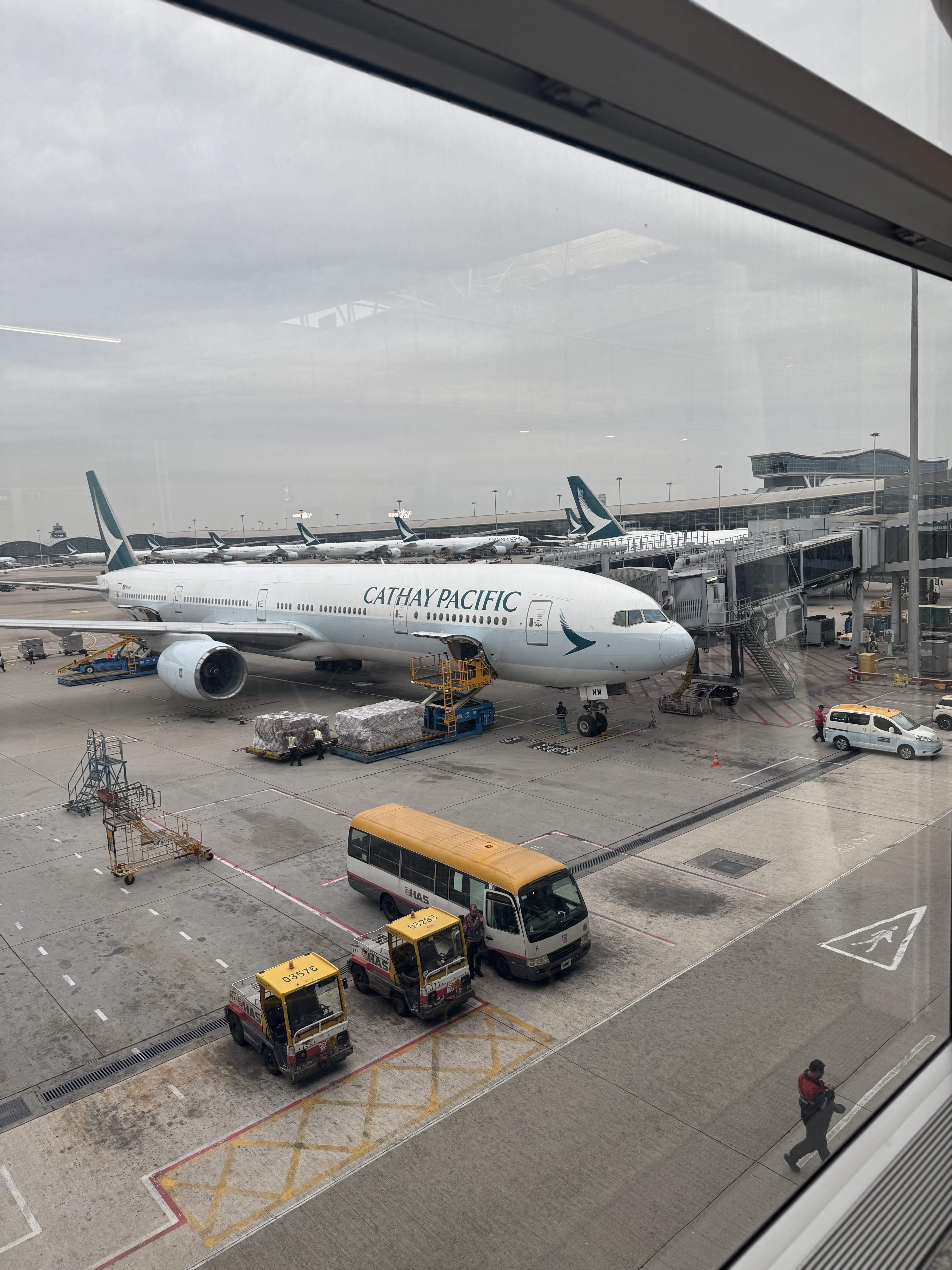 On the way in Tokyo