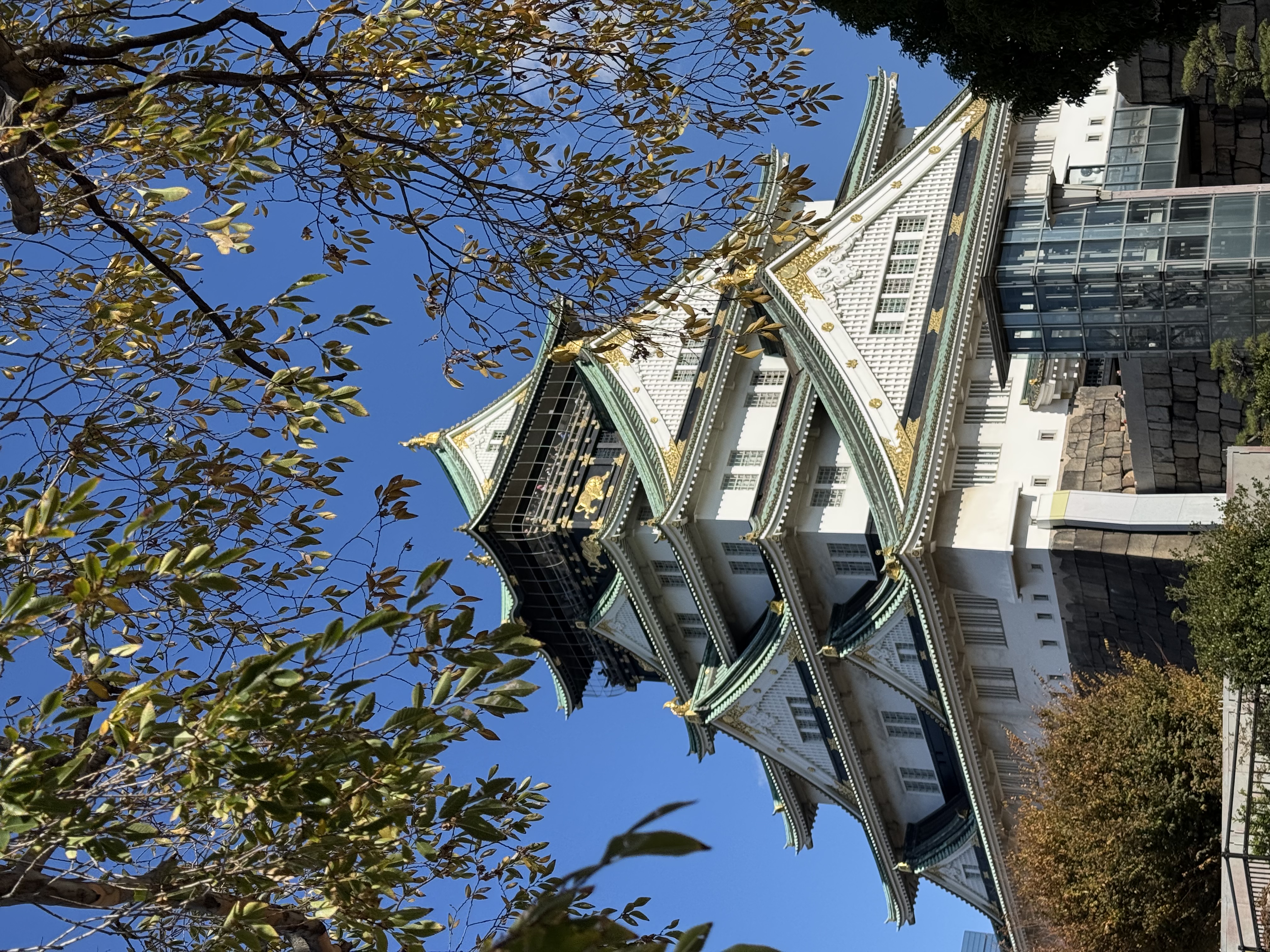 Osaka castle area