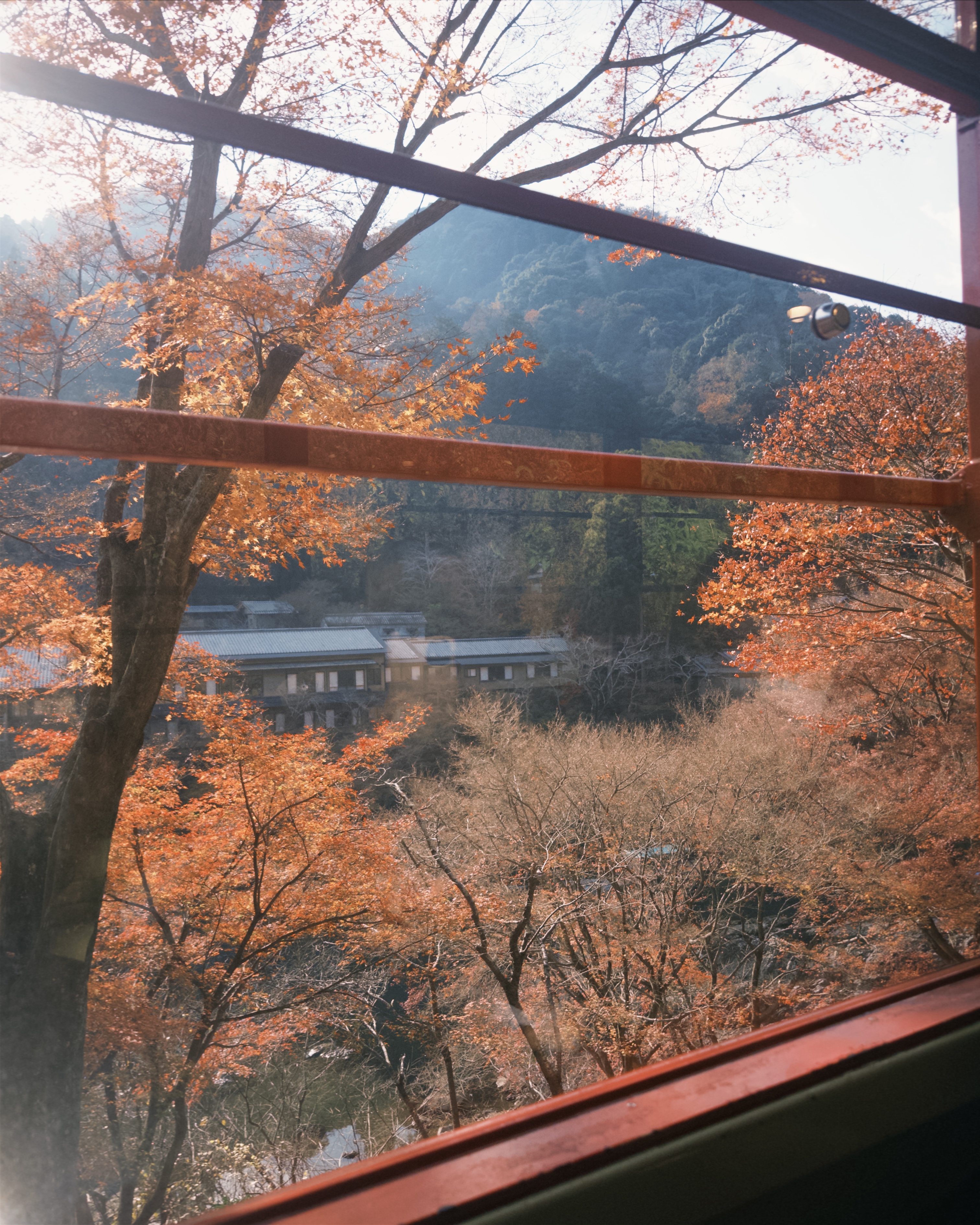 Sagano area