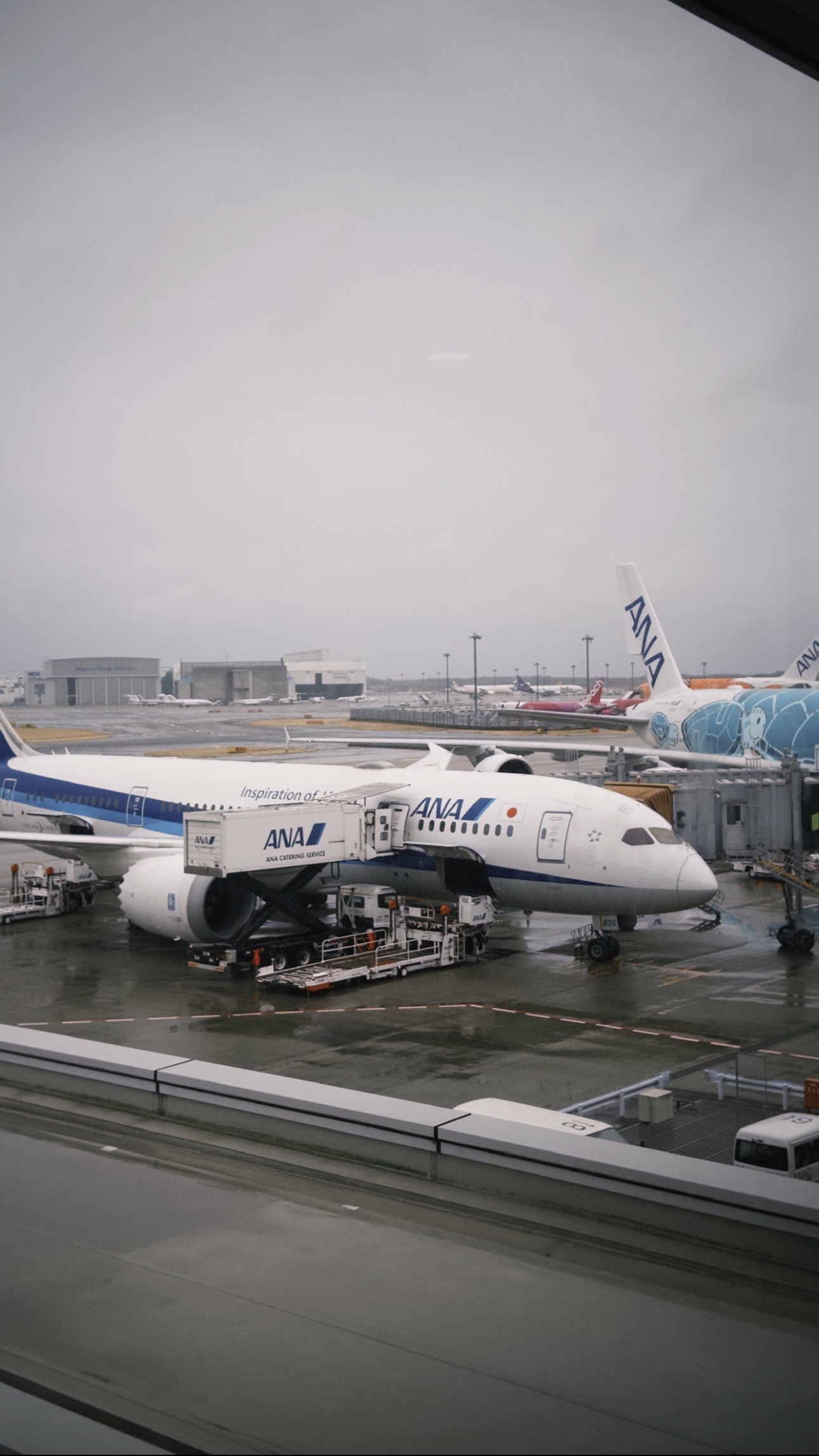 ANA at Haneda