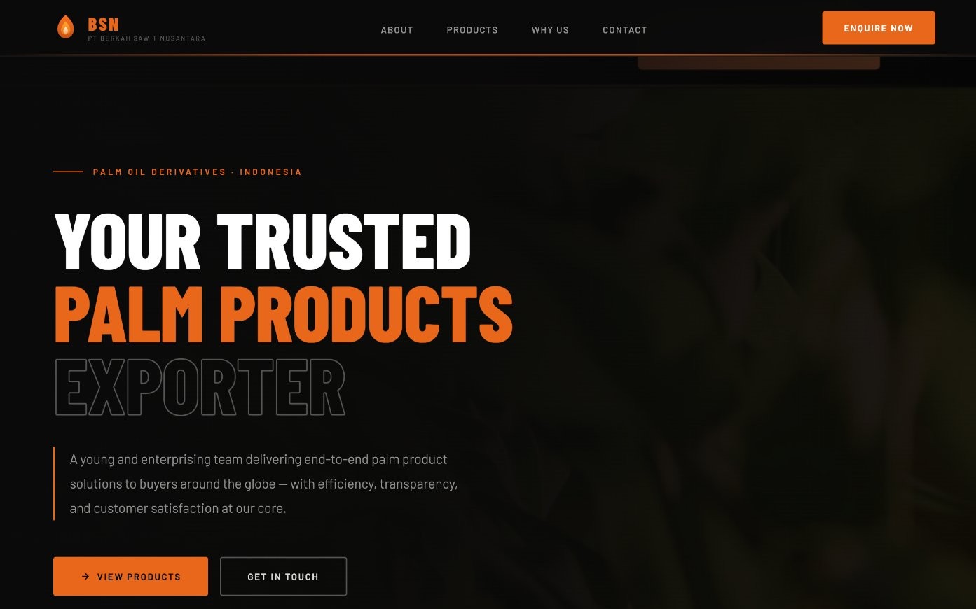 The original BSN website before the redesign