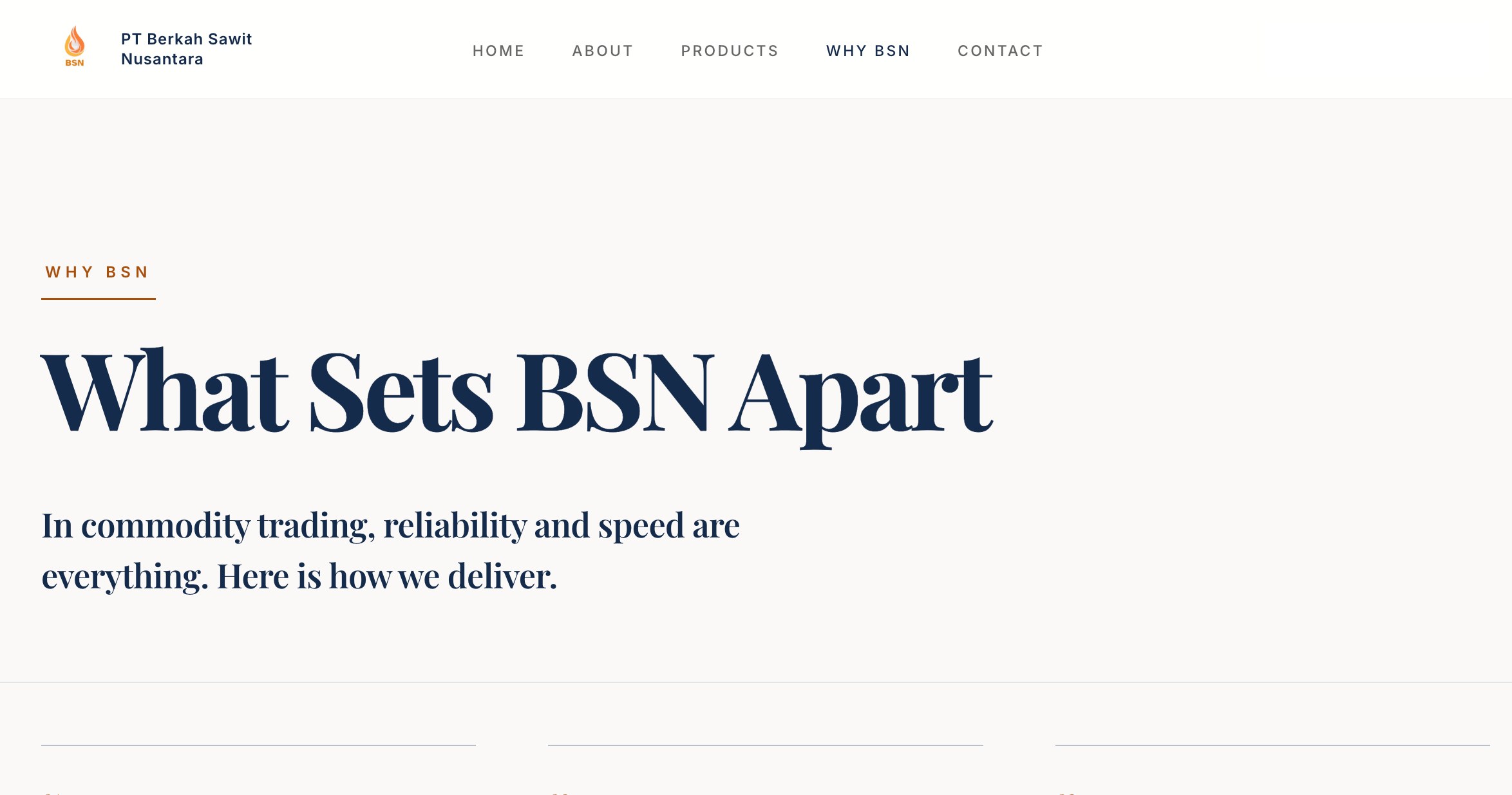 BSN why BSN page